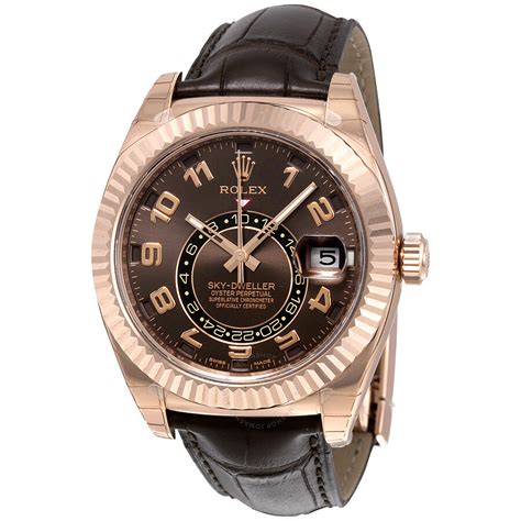 rolex sky dweller gold brown|Rolex Sky-Dweller price used.